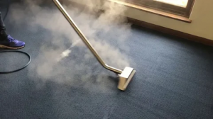 Professional Carpet Cleaning Services: What to Expect